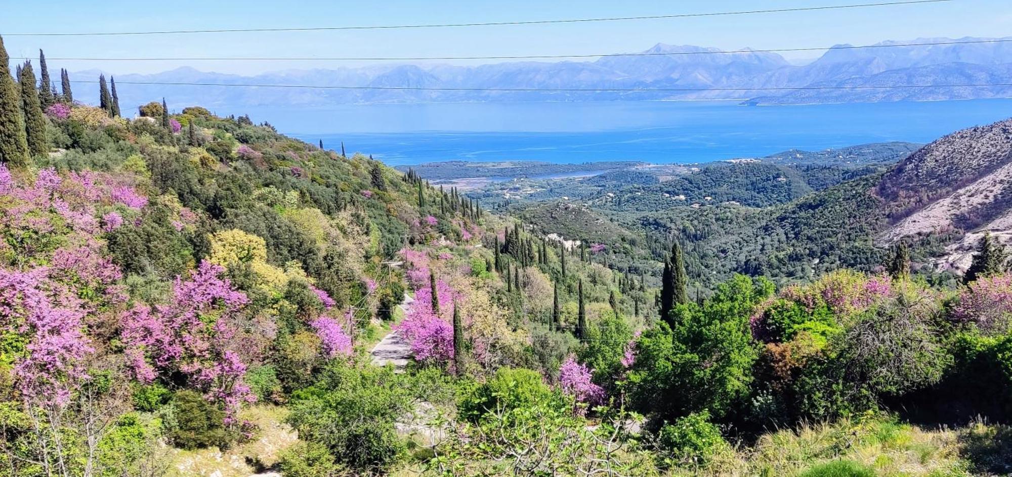 Castello Di Lafki Apartment Corfu  Exterior photo